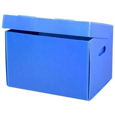 Corrugated Polypropylene Plastic Cardboard Archive Box