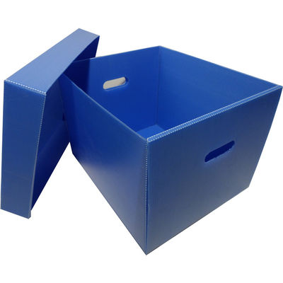 Corrugated Polypropylene PP Plastic Archive Storage Box