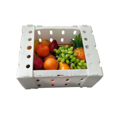 Polypropylene Plastic Corrugated Fruits Vegetables Box Corn Asparagus Boxes for Packing