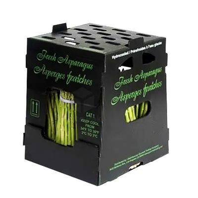 Polypropylene Plastic Corrugated Fruits Vegetables Box Corn Asparagus Boxes for Packing