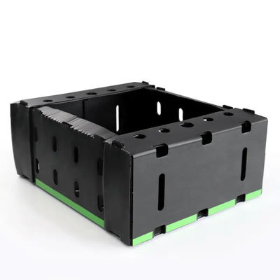 Polypropylene Plastic Corrugated Fruits Vegetables Box Corn Asparagus Boxes for Packing