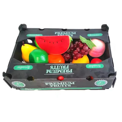 PP Corrugated Plastic Box for Vegetable Fruit Box Folding Coroplast Corn Okra Boxes