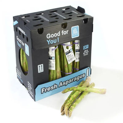 PP Corrugated Plastic Box for Vegetable Fruit Box Folding Coroplast Corn Okra Boxes