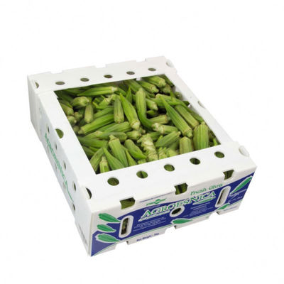 Corrugated Plastic Polypropylene Coroplast Fresh Okra Box for Agriculture Packing