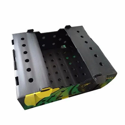 Corrugated Plastic Polypropylene Coroplast Fresh Okra Box for Agriculture Packing