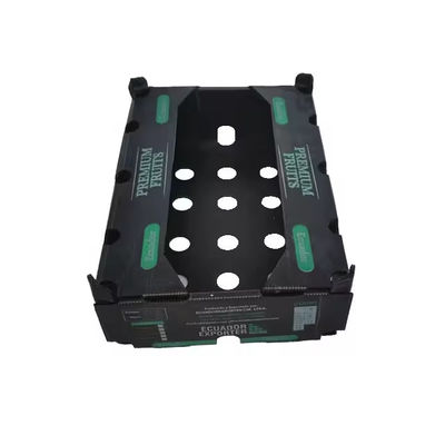 Corrugated Plastic Polypropylene Coroplast Fresh Okra Box for Agriculture Packing