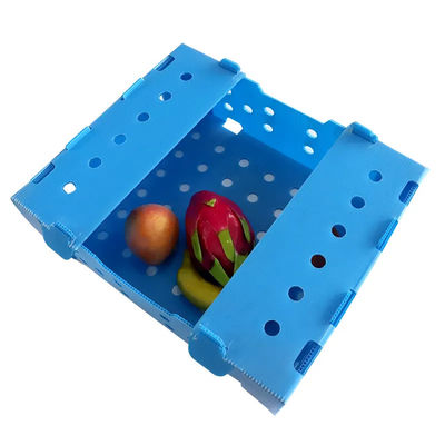 Folding Fluted Polypropylene Plastic Fresh Okra Box for Packing Storage