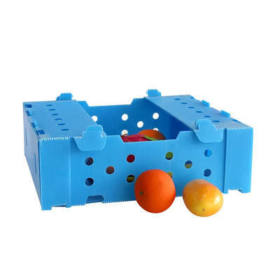 Folding Fluted Polypropylene Plastic Fresh Okra Box for Packing Storage