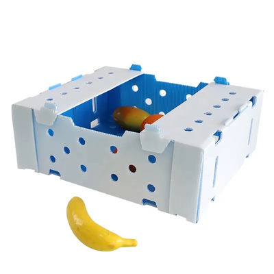 Folding Fluted Polypropylene Plastic Fresh Okra Box for Packing Storage