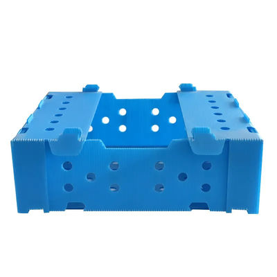 Folding Fluted Polypropylene Plastic Fresh Okra Box for Packing Storage