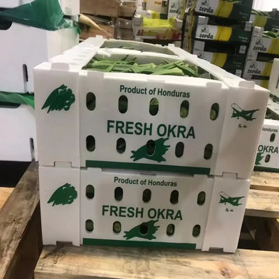Foldable Corrugated Polypropylene Plastic Fresh Okra Packing Box