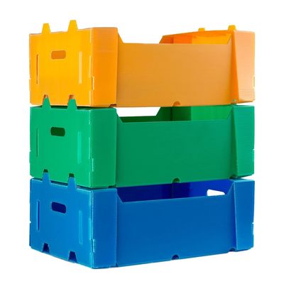 Corrugated PP Plastic Storage Tray for Fruit Vegetables Food Using