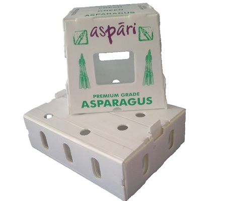 Corrugated PP Plastic Storage Tray for Fruit Vegetables Food Using