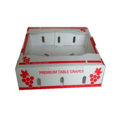 Corrugated PP Plastic Storage Tray for Fruit Vegetables Food Using