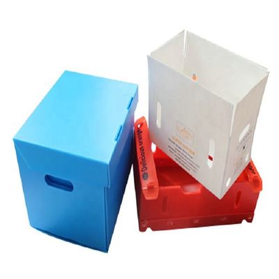 Factory Price Custom Logo Fruits Vegetables Corrugated PP Plastic Storage Boxes