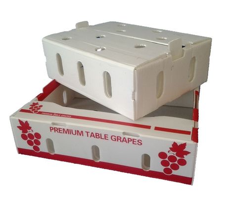 Factory Price Custom Logo Fruits Vegetables Corrugated PP Plastic Storage Boxes