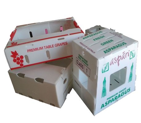 Factory Price Custom Logo Fruits Vegetables Corrugated PP Plastic Storage Boxes