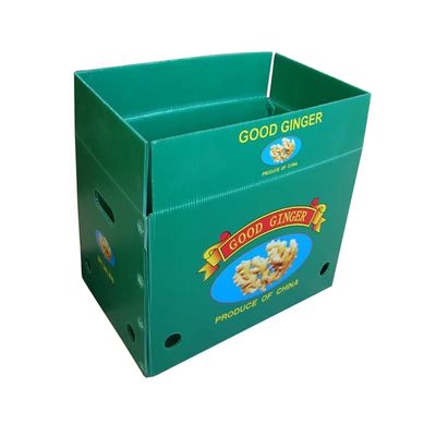 Factory Price Custom Logo Fruits Vegetables Corrugated PP Plastic Storage Boxes