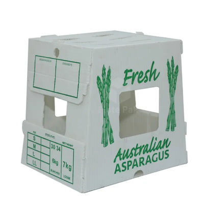 Polypropylene Corrugated Plastic Packing Fruit Boxes Vegetables Box