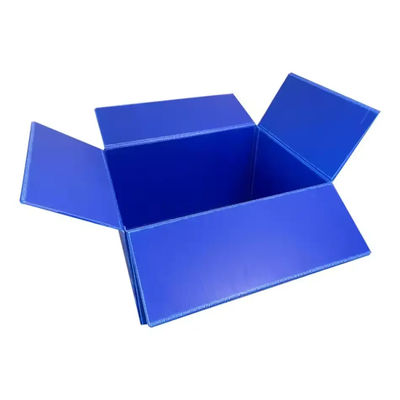 Polypropylene Corrugated Carton Plastic Sheets Coroplast Packing Box