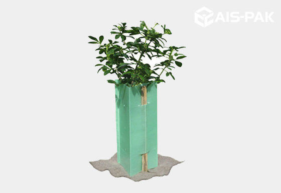 Anti UV Corrugated PP Plastic Plant Protection Sleeves Corflute Tree Guards
