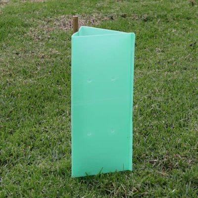 UV Protection PP Fluted Corrugated Plastic Tree Guards Corflute Plant Shelters