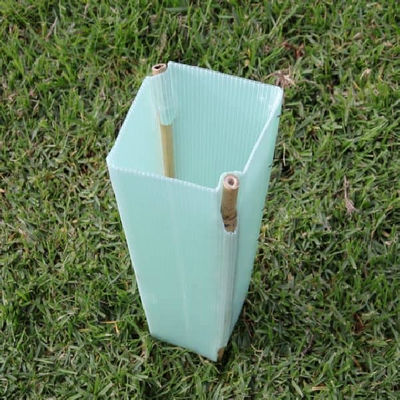 450 X 200mm Corflute Tree Guard Vine Guards for Plant Protection
