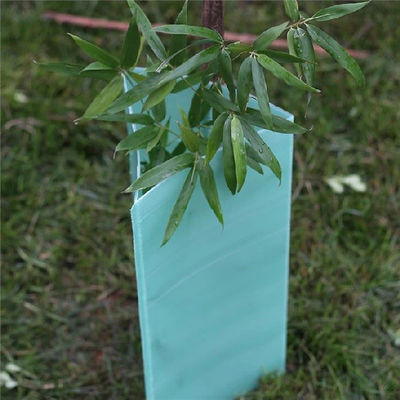 UV Resistance Corflute Vine Guards for Plant Protection Guard
