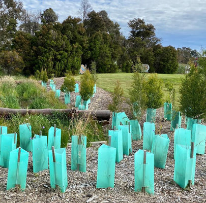 UV Resistance Corflute Vine Guards for Plant Protection Guard