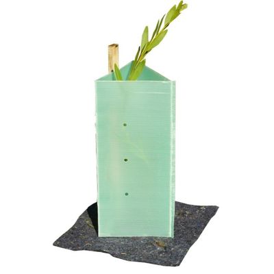 UV Resistant Plastic Corrugated Polypropylene Tree Protectors for Plant Protection Tubes Grape Vine Guard Plants Shelters